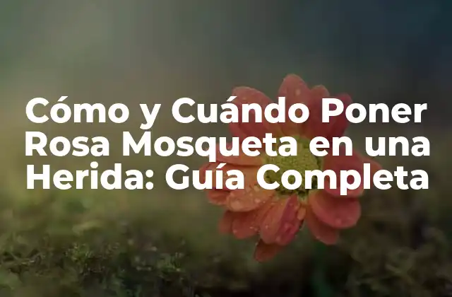 Beneficios de la Rosa Mosqueta para la Cicatrización de Heridas
