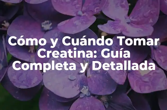 Cómo y Cuándo Tomar Creatina: Guía Completa y Detallada