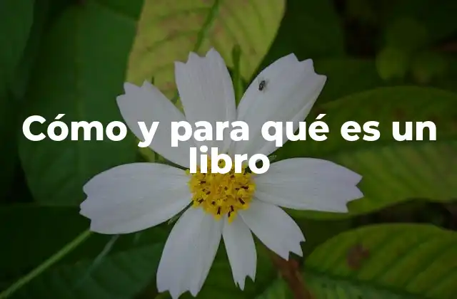 Cómo y para Qué es un Libro 2 La esencia de la escritura organizada