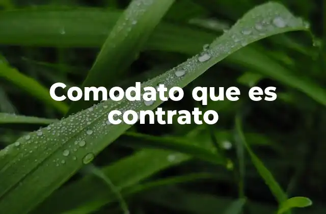 Comodato que es Contrato