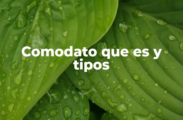 Comodato que es y Tipos