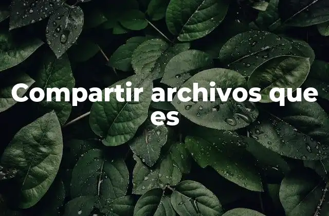 Compartir Archivos que es