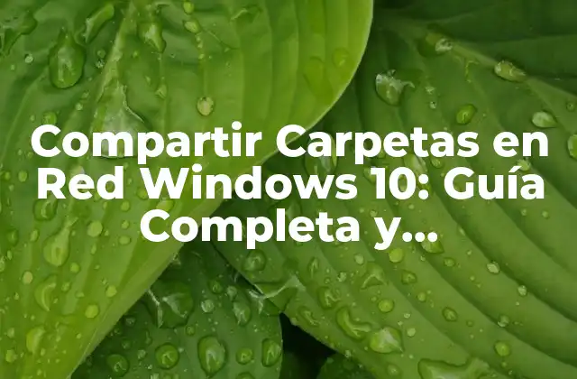 Compartir Carpetas en Red Windows 10: Guía Completa y Actualizada