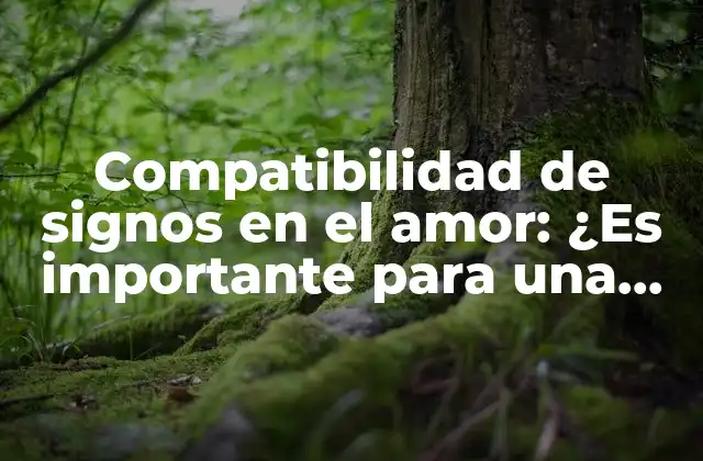 Compatibilidad de Signos en el Amor: ¿es Importante para una Relación Exitosa?
