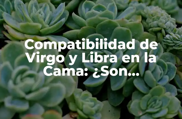 Compatibilidad de Virgo y Libra en la Cama: ¿son Compatibles en el Amor?