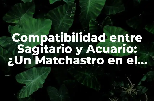 Compatibilidad entre Sagitario y Acuario: ¿un Matchastro en el Cielo?