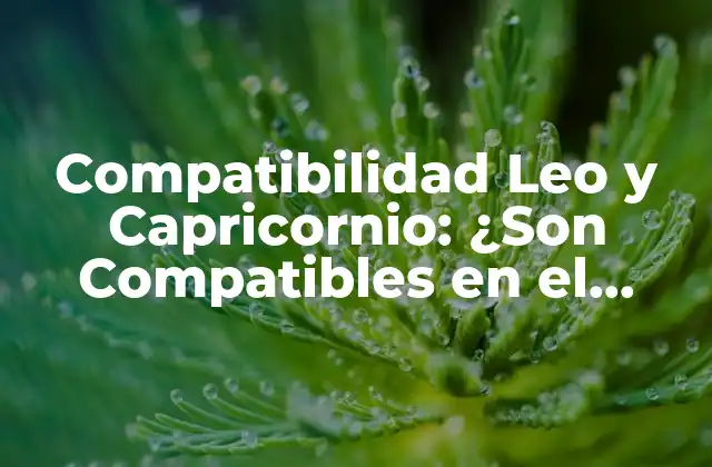Compatibilidad Leo y Capricornio: ¿son Compatibles en el Amor?