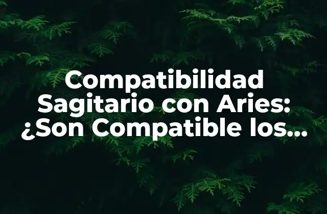 Compatibilidad Sagitario con Aries: ¿son Compatible los Fuego y Fuego?