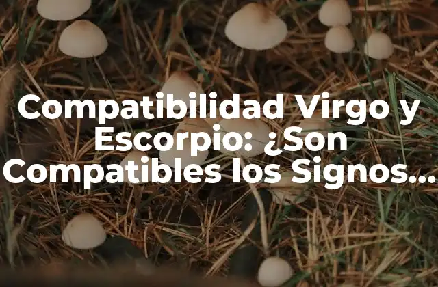 Compatibilidad Virgo y Escorpio: ¿son Compatibles los Signos de Fuego y Tierra?