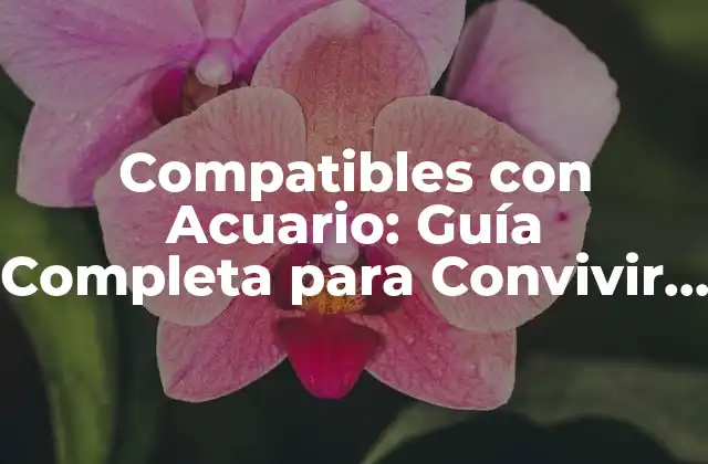 Compatibles con Acuario: Guía Completa para Convivir en Armonía