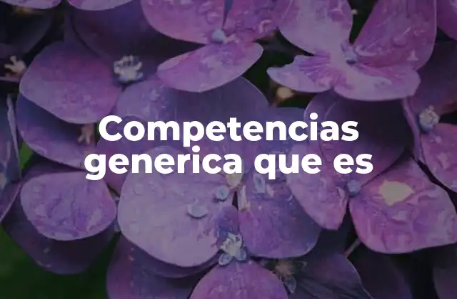 Competencias Generica que es