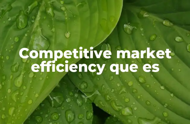 Competitive Market Efficiency que es 2 Características de los mercados que logran eficiencia competitiva