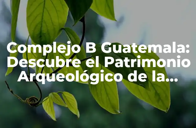Complejo B Guatemala: Descubre el Patrimonio Arqueológico de la Cultura Maya
