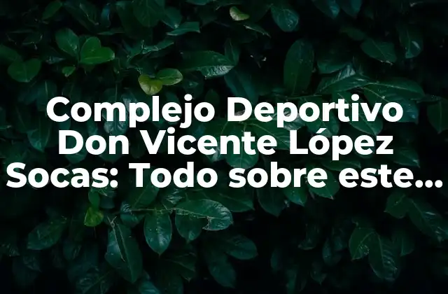 Complejo Deportivo Don Vicente López Socas: Todo sobre Este Emblemático Espacio Deportivo
