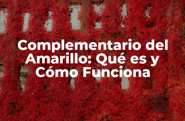 Complementario Del Amarillo: Qué es y Cómo Funciona