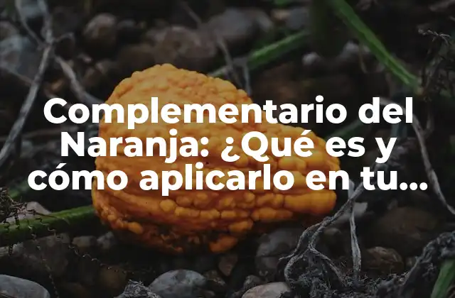 Complementario Del Naranja: ¿qué es y Cómo Aplicarlo en Tu Vida Diaria?