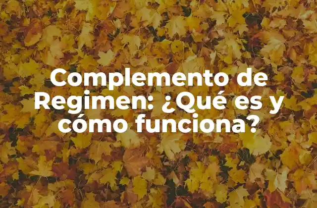 Complemento de Regimen: ¿qué es y Cómo Funciona?