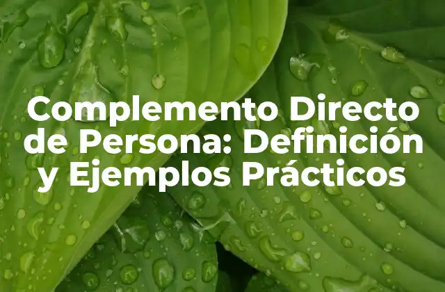 Complemento Directo de Persona: Definición y Ejemplos Prácticos