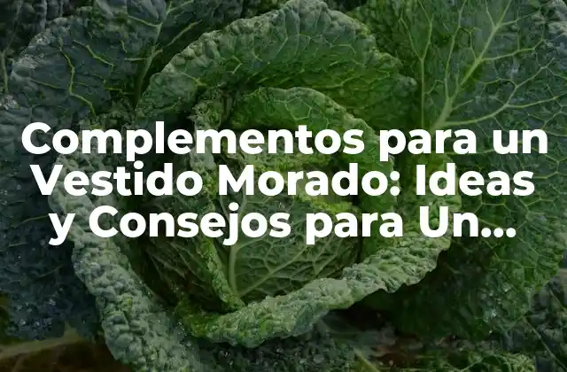 Complementos para un Vestido Morado: Ideas y Consejos para un Look Único 2 ¿Cuáles son los Colores que se Combinan con el Morado?