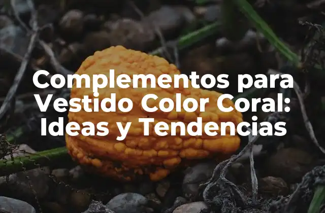 ¿Por qué el Color Coral es Tan Popular en la Moda?