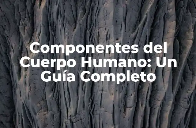 Componentes Del Cuerpo Humano: un Guía Completo