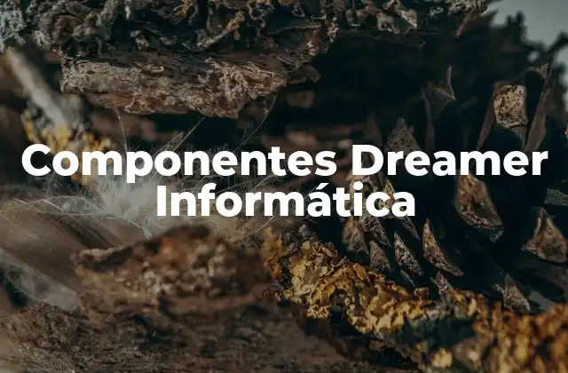 Componentes Dreamer Informática