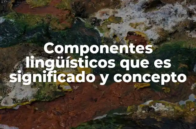 Componentes Lingüísticos que es Significado y Concepto