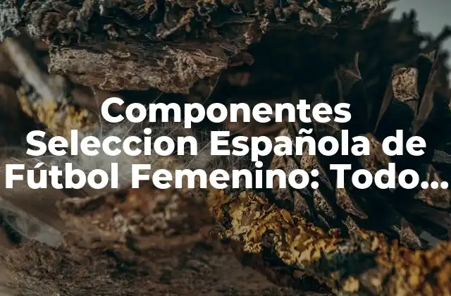 Componentes Seleccion Española de Fútbol Femenino: Todo Lo que Necesitas Saber