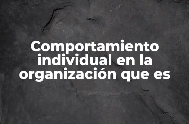 Comportamiento Individual en la Organización que es