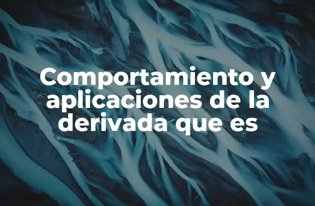 Comportamiento y Aplicaciones de la Derivada que es 2 La importancia de comprender la derivada en contextos reales