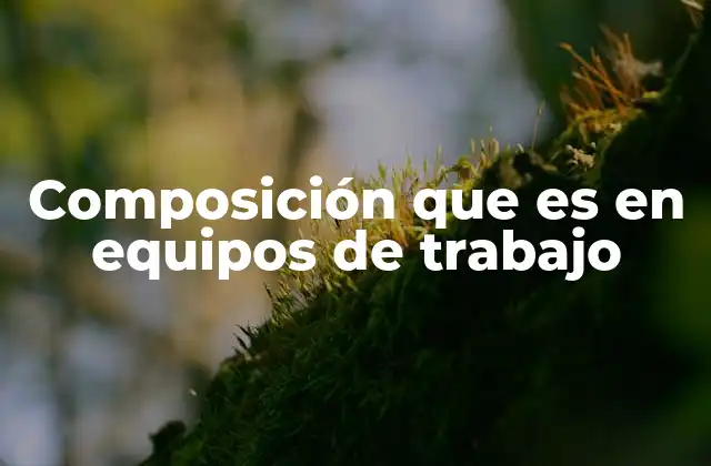 Composición que es en Equipos de Trabajo