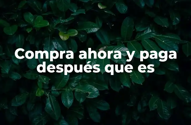 Compra Ahora y Paga Después que es