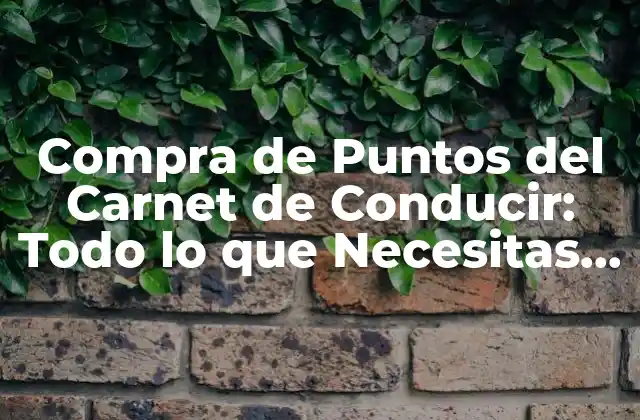 Compra de Puntos Del Carnet de Conducir: Todo Lo que Necesitas Saber