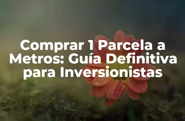 Comprar 1 Parcela a Metros: Guía Definitiva para Inversionistas 2 ¿Por qué Invertir en una Parcela de 1 Metro Cuadrado?