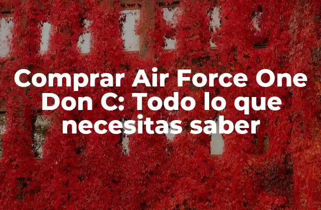 Comprar Air Force One Don C: Todo Lo que Necesitas Saber 2 La historia detrás de Air Force One Don C