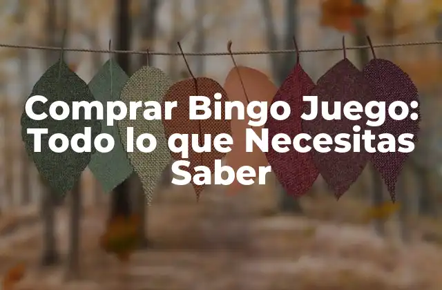 Comprar Bingo Juego: Todo Lo que Necesitas Saber