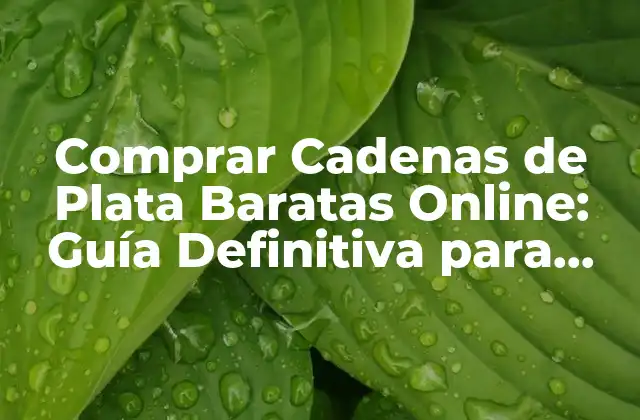 Comprar Cadenas de Plata Baratas Online: Guía Definitiva para Ahorrar Dinero