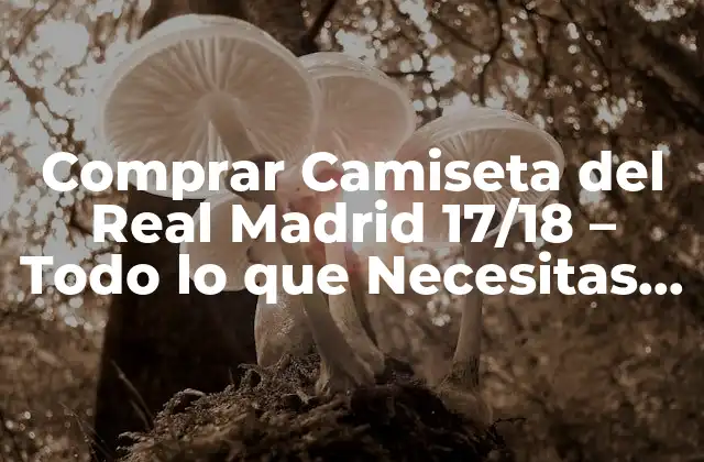 Comprar Camiseta Del Real Madrid 17/18 – Todo Lo que Necesitas Saber