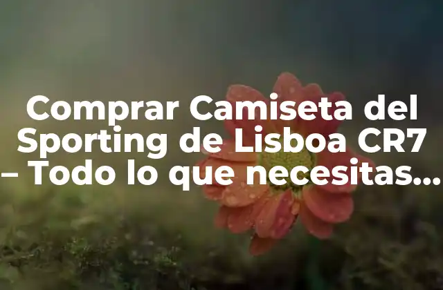 Comprar Camiseta Del Sporting de Lisboa Cr7 - Todo Lo que Necesitas Saber 2 ¿Cuál es la historia detrás de la Camiseta del Sporting de Lisboa CR7?