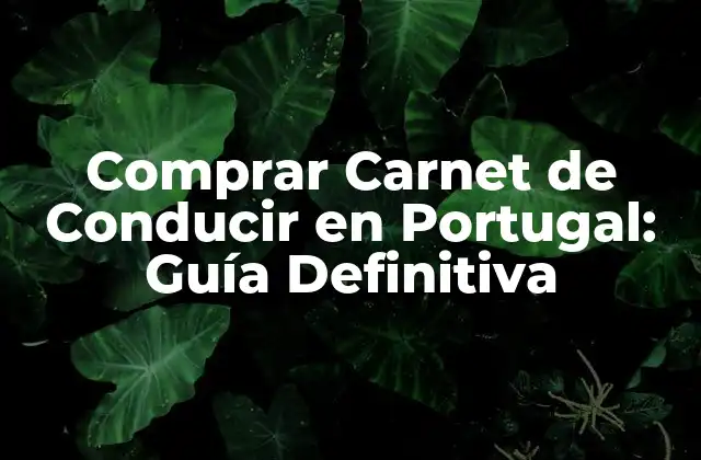 Comprar Carnet de Conducir en Portugal: Guía Definitiva