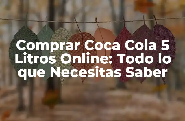 Comprar Coca Cola 5 Litros Online: Todo Lo que Necesitas Saber
