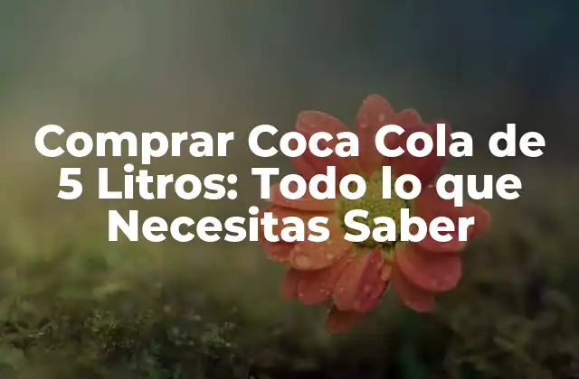 Comprar Coca Cola de 5 Litros: Todo Lo que Necesitas Saber