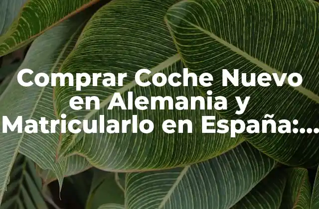 Comprar Coche Nuevo en Alemania y Matricularlo en España: Guía Completa