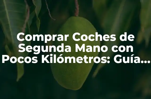 Comprar Coches de Segunda Mano con Pocos Kilómetros: Guía Completa