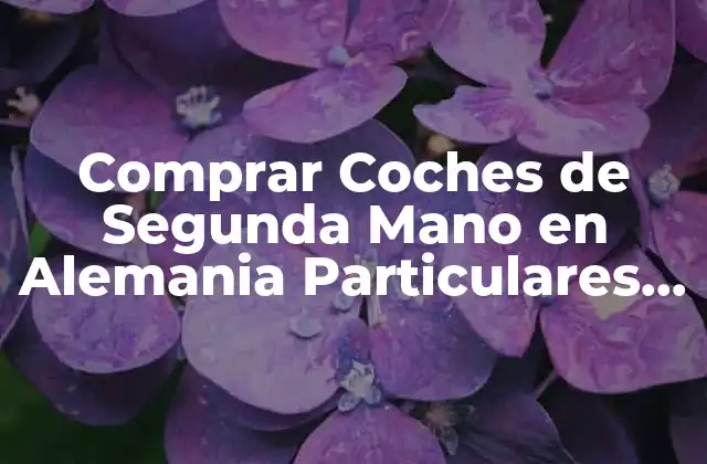 Comprar Coches de Segunda Mano en Alemania Particulares – Guía Completa