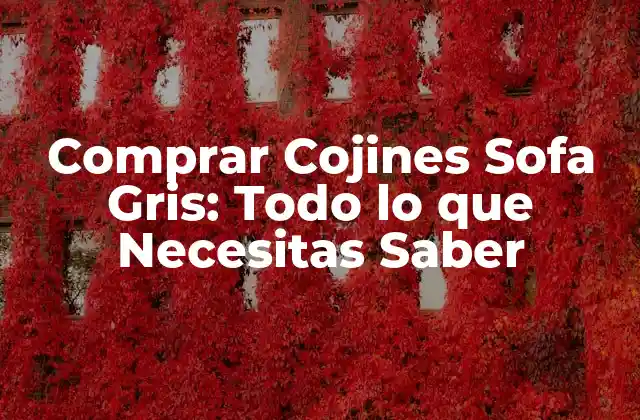 Comprar Cojines Sofa Gris: Todo Lo que Necesitas Saber