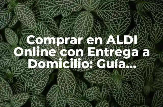 Comprar en Aldi Online con Entrega a Domicilio: Guía Completa