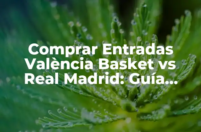 Comprar Entradas València Basket Vs Real Madrid: Guía Detallada
