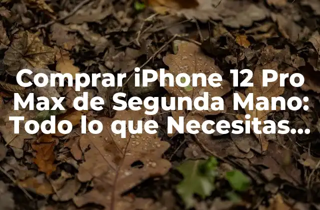 Comprar Iphone 12 Pro Max de Segunda Mano: Todo Lo que Necesitas Saber 2 Ventajas de Comprar un iPhone 12 Pro Max de Segunda Mano