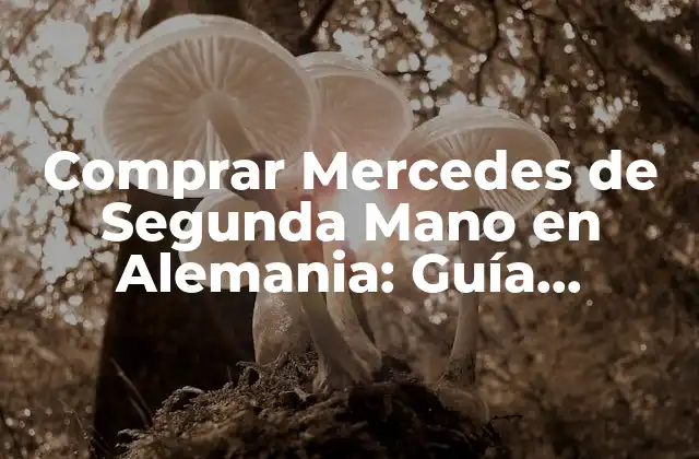 Comprar Mercedes de Segunda Mano en Alemania: Guía Completa